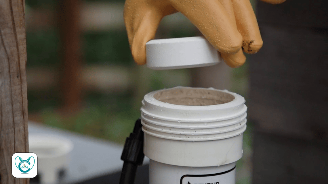 Does Chlorine Affect Ph